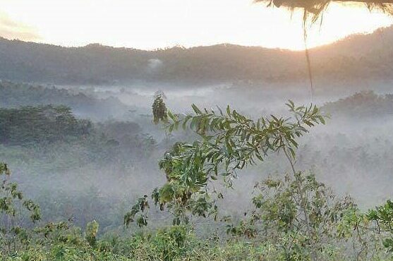 Pemandangan dari Gunung Suru